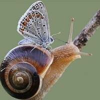 Катерина