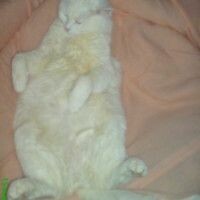 Олег Павловский