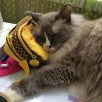 НАТАЛЬЯ