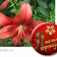 Елена Мыслицкая