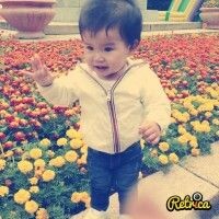 Shami