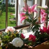Эркинова Кундуз