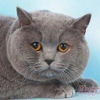 Ольга