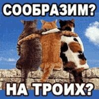 Ярослав Осипов