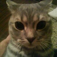 Катерина