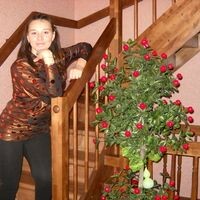 НАТАЛЬЯ