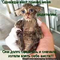 Тисалова Ирина