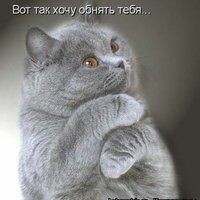 КРОШКА