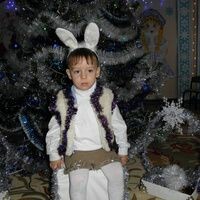 Негрина Елена