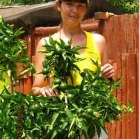 Гульнара