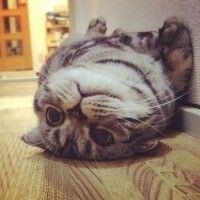 Настя Глазова