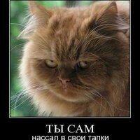 Светлов Михаил