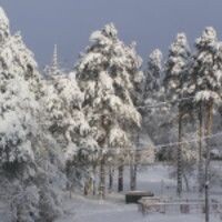 Наталья Белова