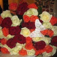 КАРИНА