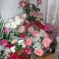 Арина