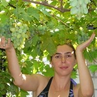 Курбанова Любовь