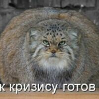 Дашенька