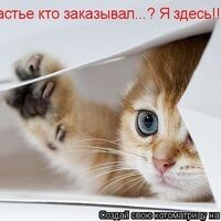 Смирнова Настя
