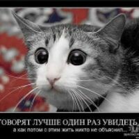 НЮКА