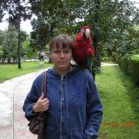 Котовщикова Ольга