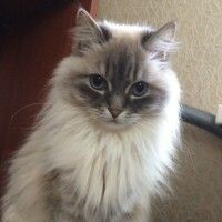 Оксана