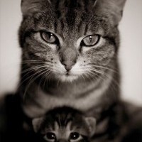 Катерина