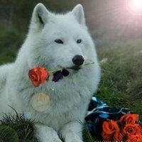 Настя