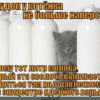 Марина