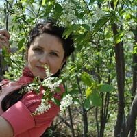 Юлия Шильникова