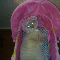 КОЗЫРЕВА Наталья