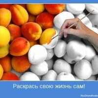 Светлана Мак