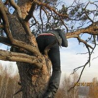 Татиана