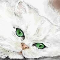 Жигунова Юлия