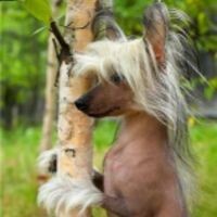 Костина Яна