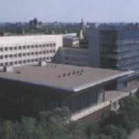 Сидоркина Елена