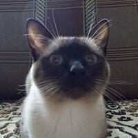 Евгения