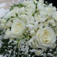 Березицкая Любовь