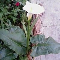 ✿✿✿Айзана✿✿✿