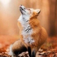Мария