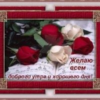 ппорир пррр