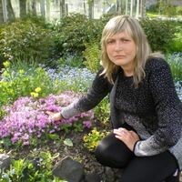 Елена Александрук