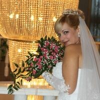 Стелла