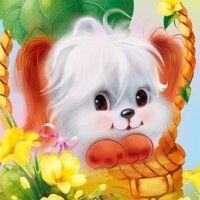 Костюченко Олеся