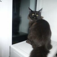 Галина