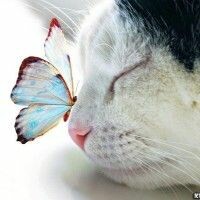 МамаЛюбимогоСына