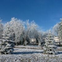 Жамиля