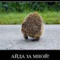 Настасья