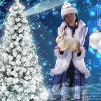 Путинцева Елена