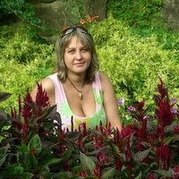 Анастасия Никифорова