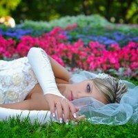Иванова Светланка